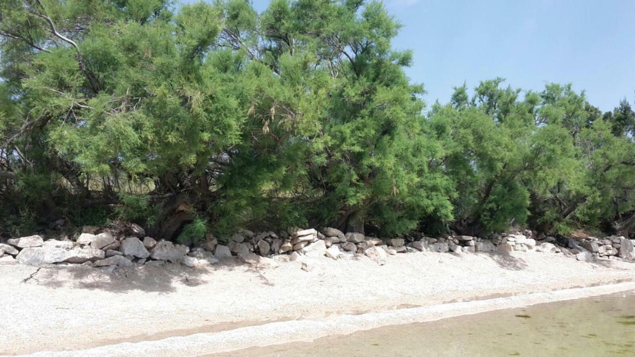 Apartmani Neva, Pridraga מראה חיצוני תמונה