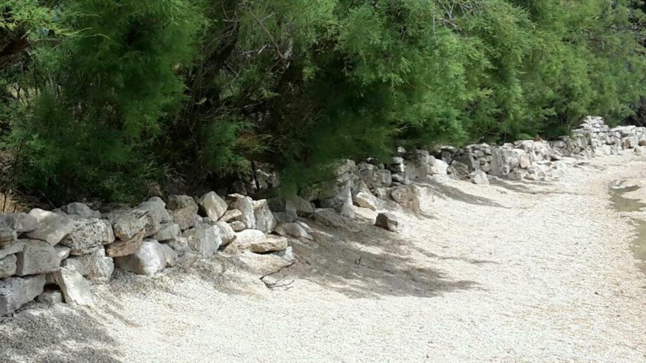 Apartmani Neva, Pridraga מראה חיצוני תמונה